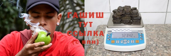 индика Алзамай