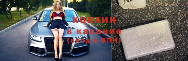 индика Алзамай