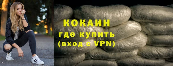 индика Алзамай