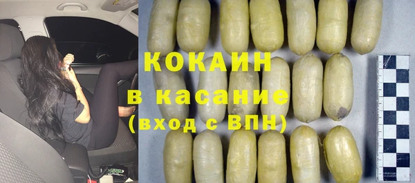 индика Алзамай